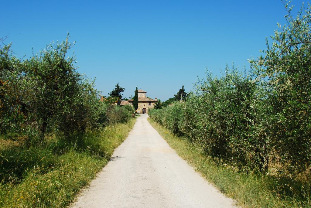B&B Le Querciole Del Chianti 巴巴里诺瓦德尔萨 外观 照片